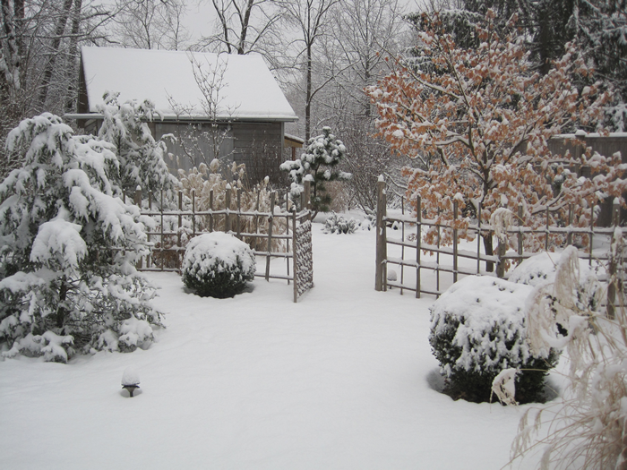 In winter the bones of the garden are revealed