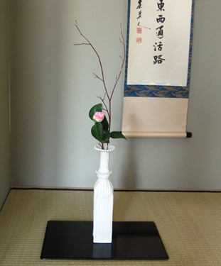 Camellia called Akebono