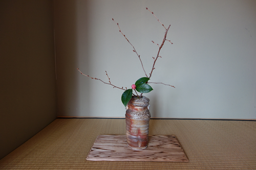 Same branch of Cherry. Different Camellia and vase. This Shigaraki style vase is by Sue Kotulek