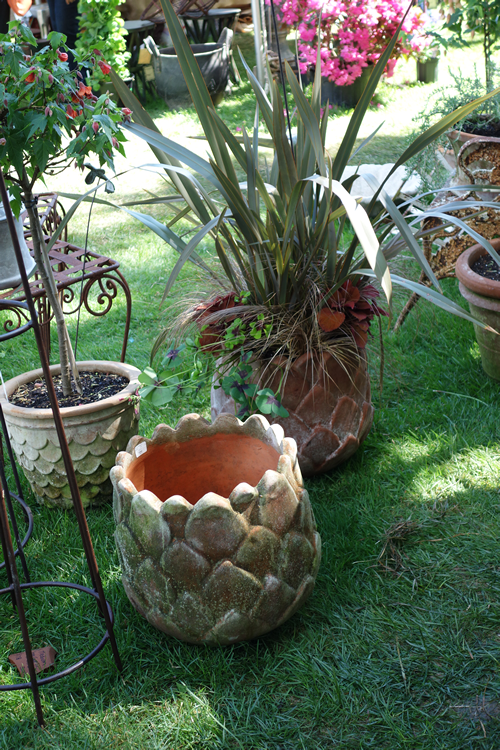 I really wanted to get this acorn or pineapple pot. 