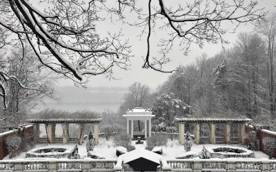 One of my favorite gardens only minutes away