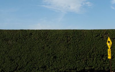 Hedges