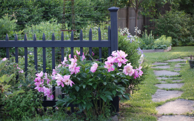 A black fence