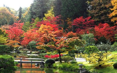 Monty Don in Japan